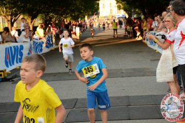 DSC_2486.jpg