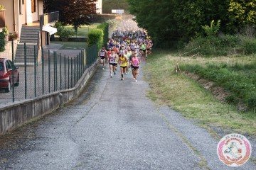 IMG_3310.jpg