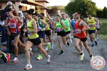 IMG_3351.jpg