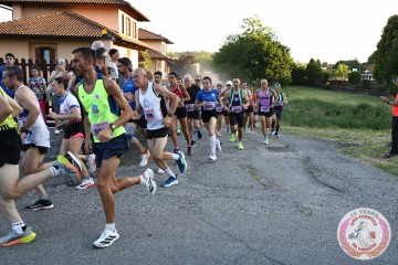 IMG_3371.jpg