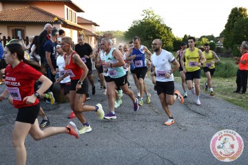 IMG_3382.jpg