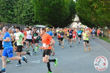 DSC_2911.jpg