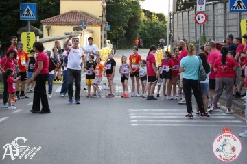 IMG_1271.jpg