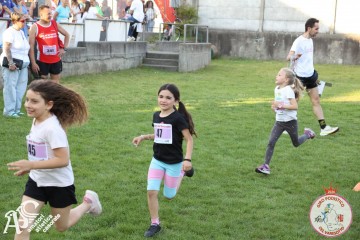 IMG_1281.jpg