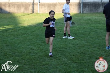 IMG_1284.jpg