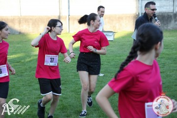 IMG_1287.jpg