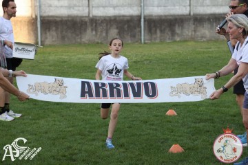 IMG_1289.jpg