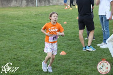 IMG_1293.jpg
