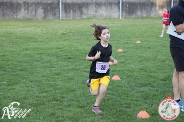 IMG_1295.jpg