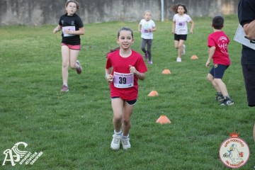 IMG_1296.jpg