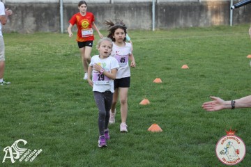 IMG_1298.jpg