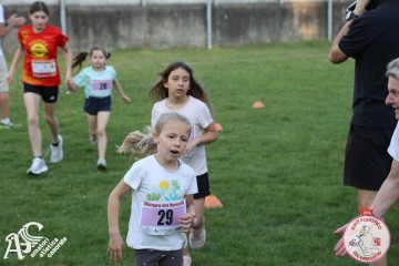 IMG_1299.jpg