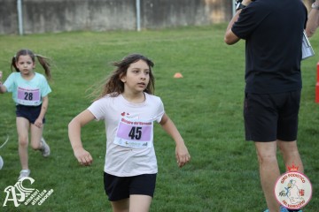IMG_1301.jpg
