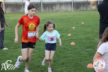 IMG_1302.jpg