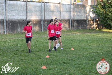 IMG_1304.jpg