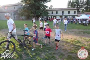 IMG_1329.jpg