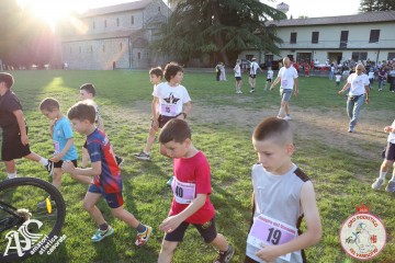 IMG_1331.jpg