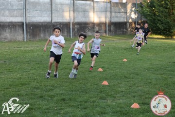 IMG_1342.jpg