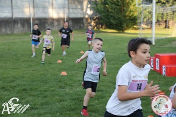 IMG_1343.jpg