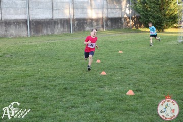 IMG_1348.jpg