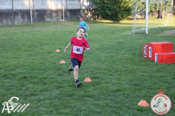 IMG_1349.jpg