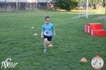 IMG_1352.jpg