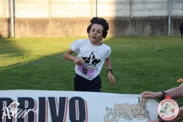 IMG_1354.jpg