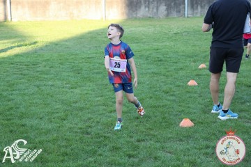 IMG_1374.jpg