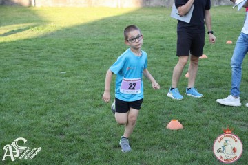 IMG_1377.jpg