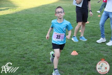 IMG_1378.jpg