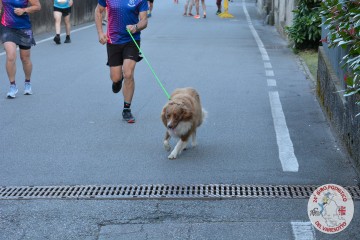 DSC_0524.jpg