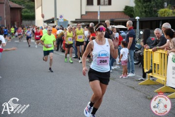 IMG_2393.jpg