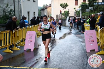 IMG_1012.jpg