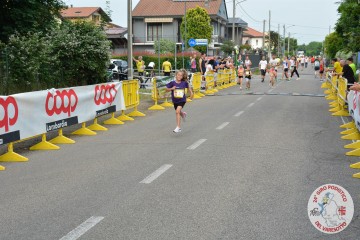 DSC_3764.jpg