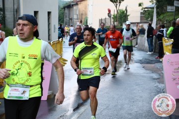 IMG_1135.jpg