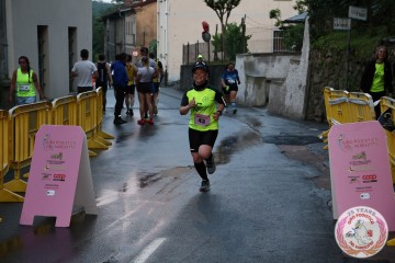 IMG_1206.jpg