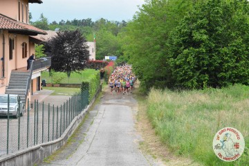 DSC_9773.jpg