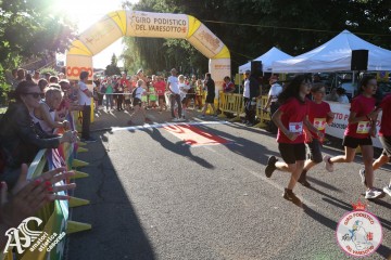 IMG_6516.jpg