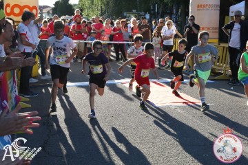 IMG_6602.jpg