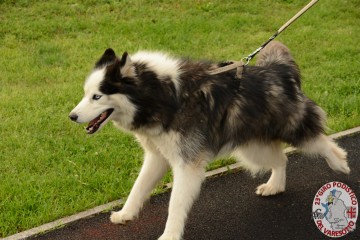 DSC_1392.jpg