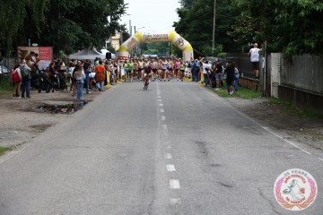 IMG_6567.jpg
