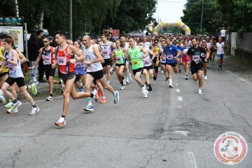 IMG_6593.jpg