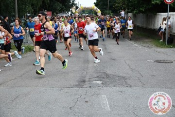 IMG_6655.jpg