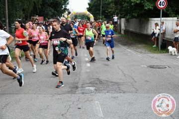 IMG_6762.jpg