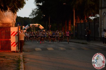 DSC_1528.jpg