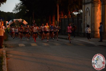 DSC_1530.jpg