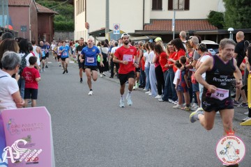 IMG_2166.jpg