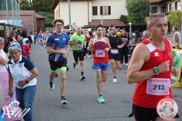 IMG_2231.jpg