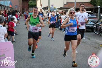 IMG_2317.jpg