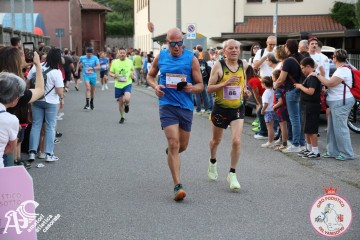 IMG_2330.jpg